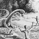 Illustration for article titled A Field Guide to Cryptids From Europe and Africa